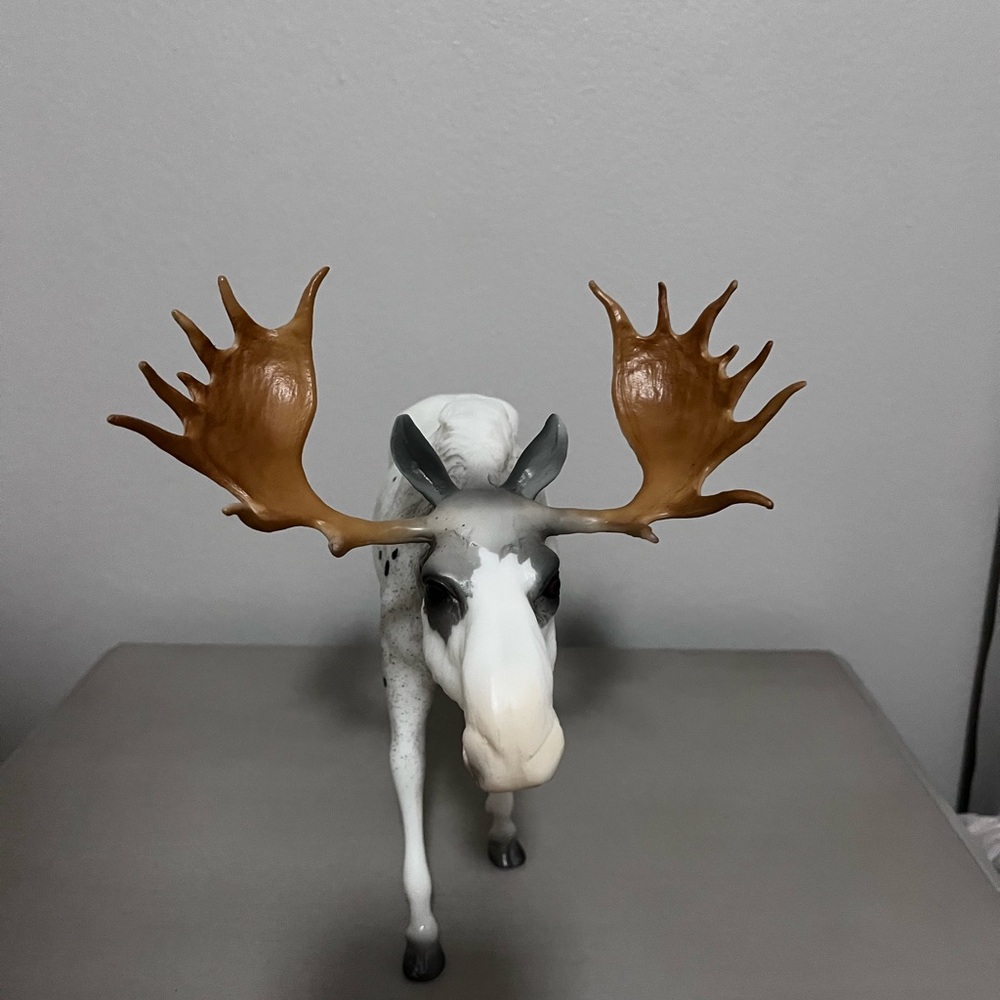 Breyer Roddick - Picture 3 of 5